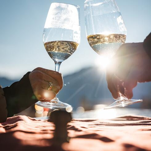 Toasting with wine glasses